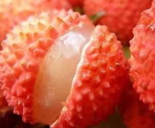 探花在线观看荔枝